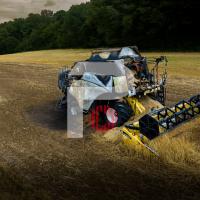 Moissonneuse à la Tour de Scay